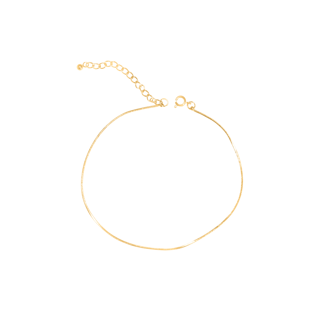 Thin Chain Anklet