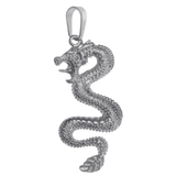 Dragon Charm