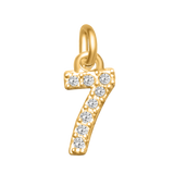Small Diamond Number Charms