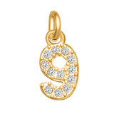 Small Diamond Number Charms