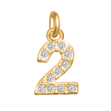 Small Diamond Number Charms