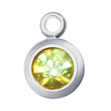 Round Birth Stone Charms