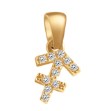 Star Sign Charms