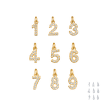 Small Diamond Number Charms