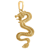 Dragon Charm