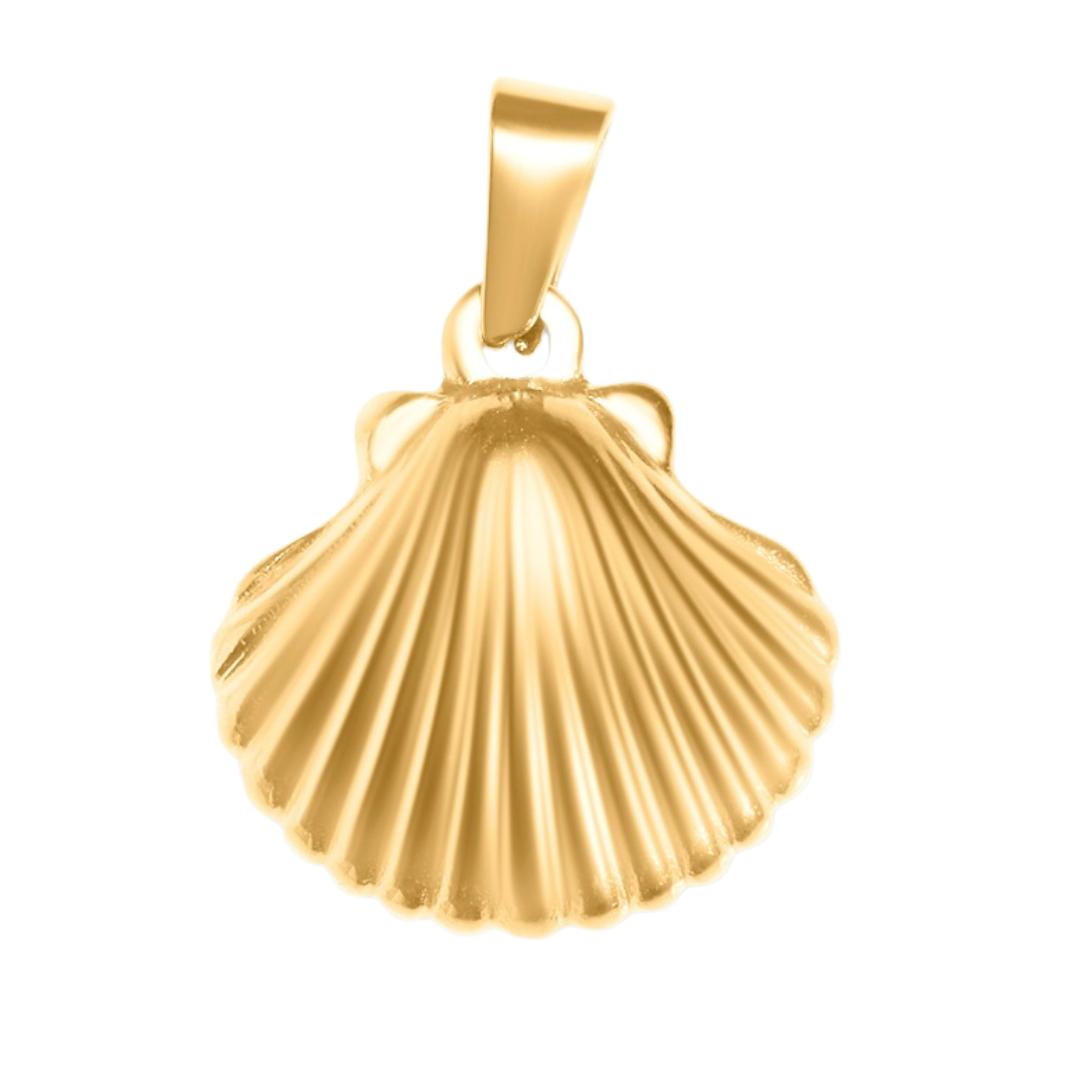 Shell Charm