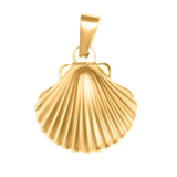 Shell Charm