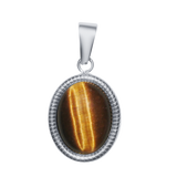 Tiger Eye Pendant Charm