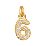 Small Diamond Number Charms