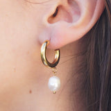 Gold Pearl Studs