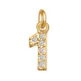 Small Diamond Number Charms