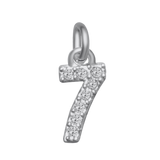 Small Diamond Number Charms